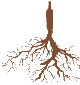 Il vino post-naturale: bottiglia con radici